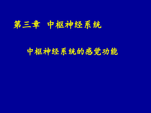 第三章-中枢神经系统的功能PPT课件