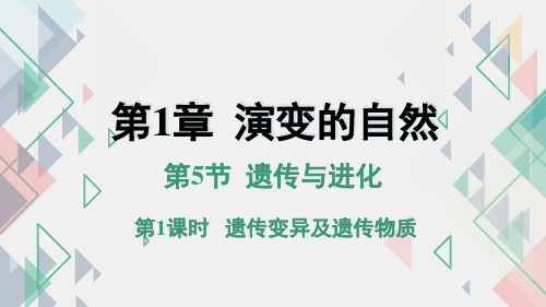 1.遗传与进化(PPT课件(初中科学)22张)