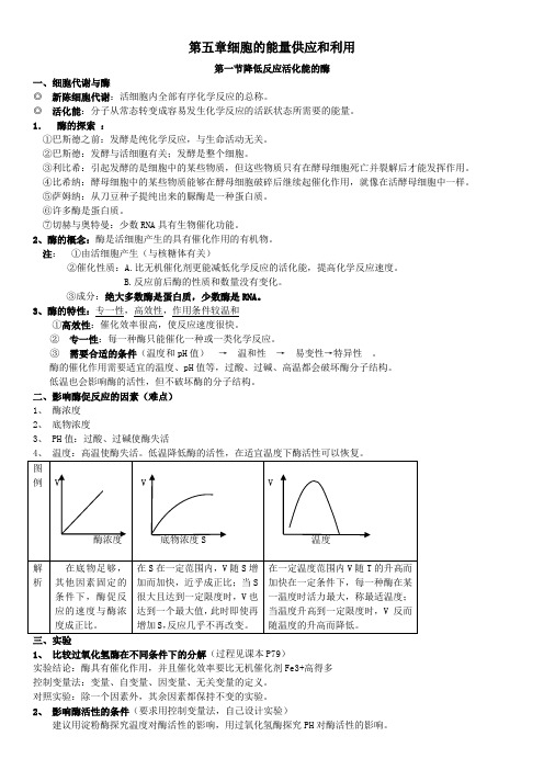 高中生物必修一第五章细胞的能量供应和利用