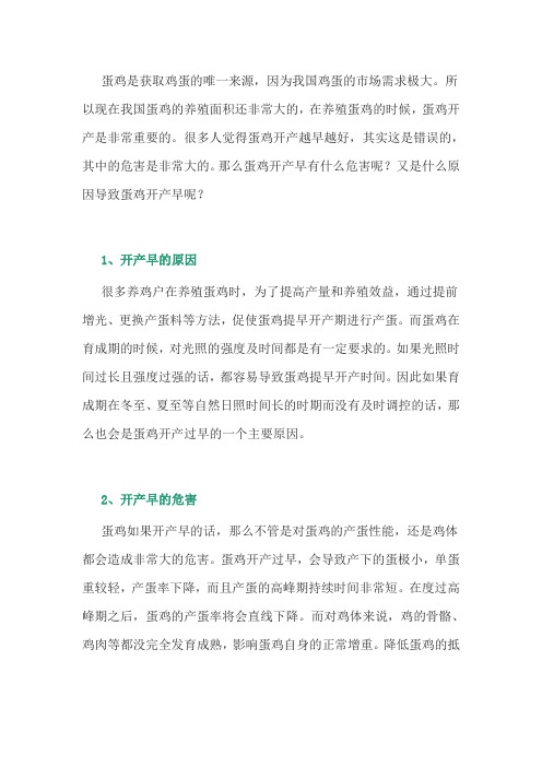 导致蛋鸡开产早是什么原因？