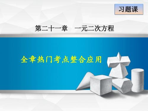 人教版九年级数学上册期末专题复习试题全套