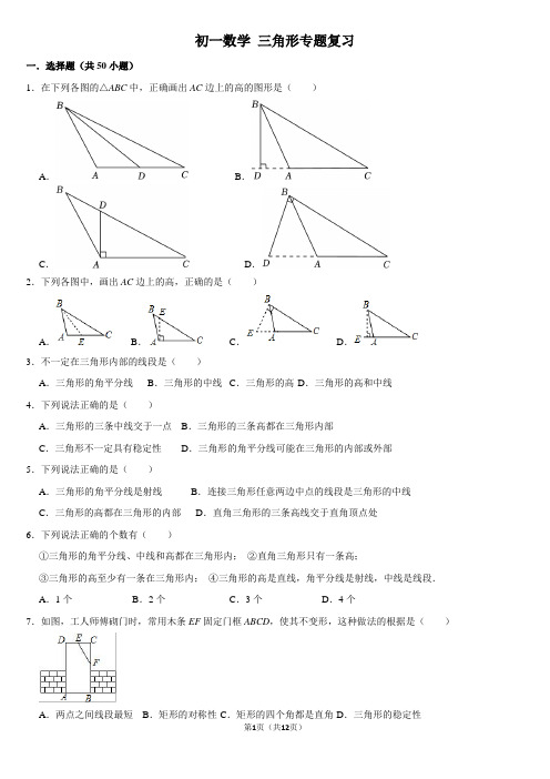 初一数学 三角形专题复习