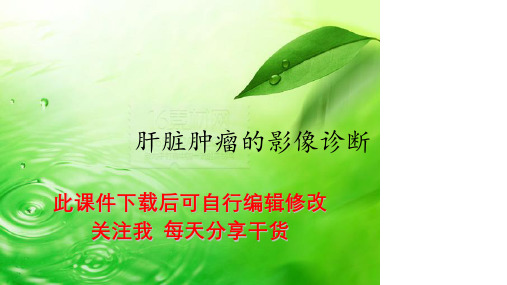 肝脏肿瘤的影像诊断PPT课件