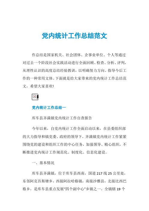 党内统计工作总结范文