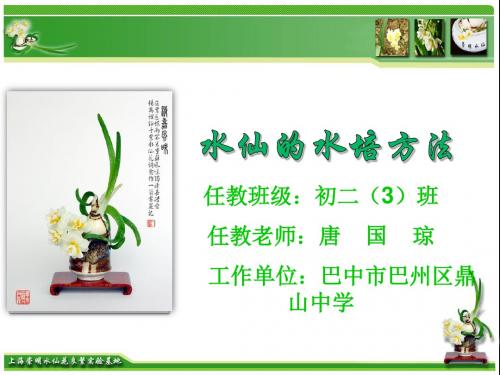 水仙花的水培方法