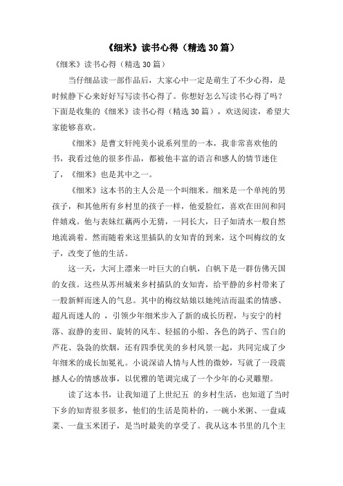 《细米》读书心得(30篇)