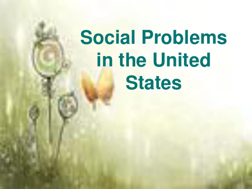 Social Problems in the United States 美国的社会问题PPT