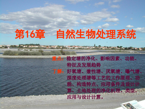 16 自然生物处理系统