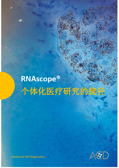 RNAscope technology-Chn
