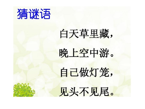 《萤火虫》