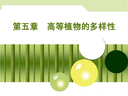 第五章  高等植物的多样性----裸子植物