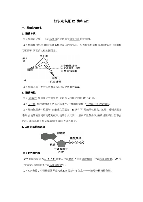 2021年高考生物一轮复习知识点上专题12酶和ATP含解析