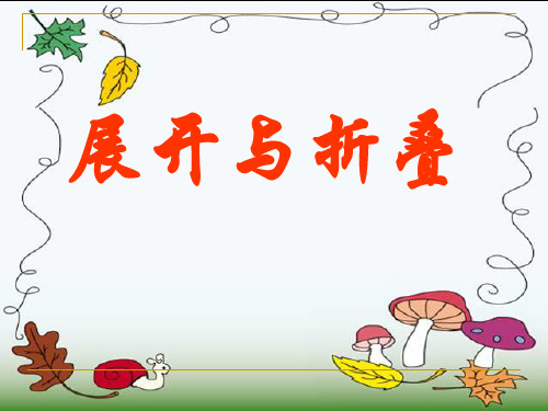 展开与折叠复习