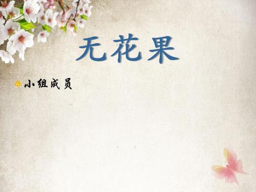 中药与生活-无花果