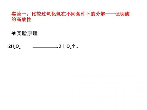 有关酶的四个实验