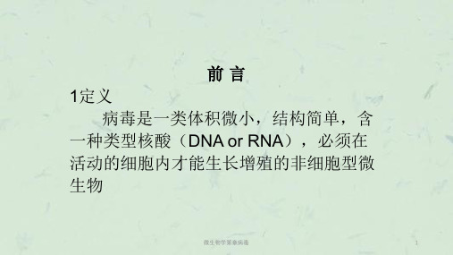 微生物学第章病毒课件