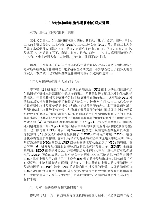三七对脑神经细胞作用机制的研究进展