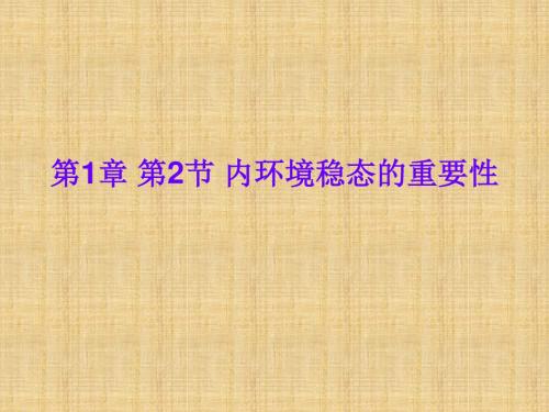 内环境稳态的重要性教学课件PPT