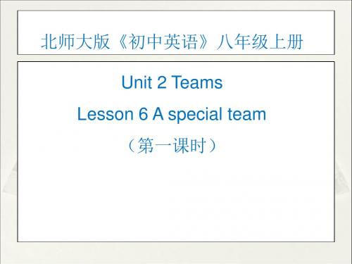 北师大课标版八年级上Unit2-Lesson-6-A-special-team