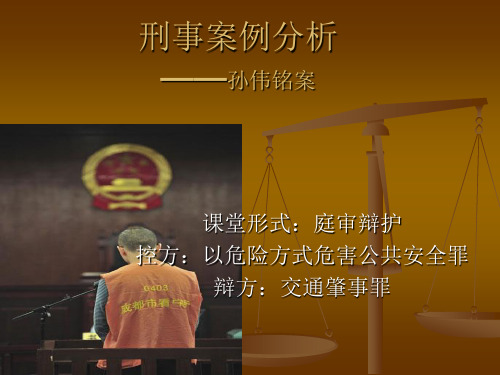 刑事案例分析