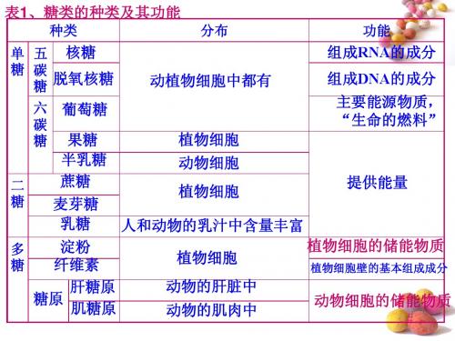 高一生物细胞中的糖类和脂质