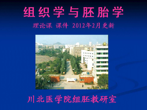 第01章组织学与胚胎学绪论