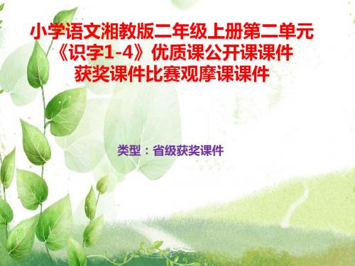 小学语文湘教版二年级上册第二单元《识字1-4》优质课公开课课件获奖课件比赛观摩课课件B011