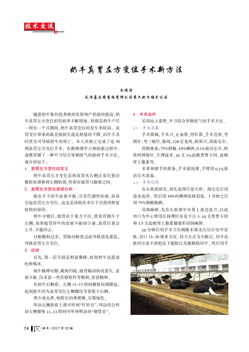 奶牛真胃左方变位手术新方法