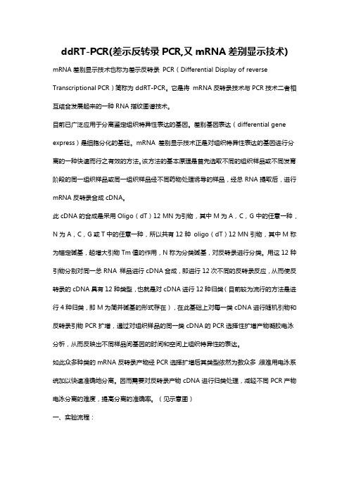 ddRT-PCR(差示反转录PCR) PCR实验技术