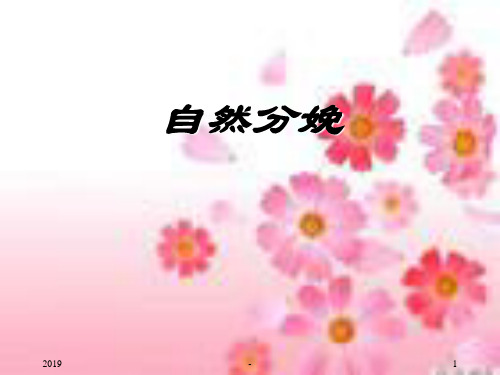 自然分娩好处多ppt课件