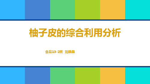 柚子皮的综合利用分析PPT