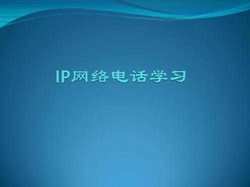 IP电话网