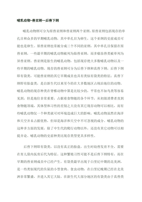 哺乳动物资料