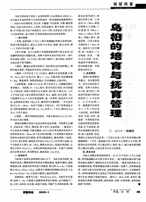 乌桕的培育与抚育管理