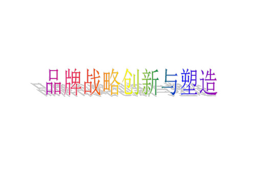 品牌战略创新与塑造