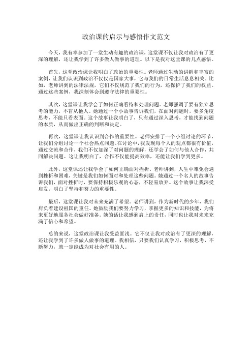 政治课的启示与感悟作文范文