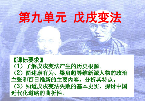 中国历史《戊戌变法》