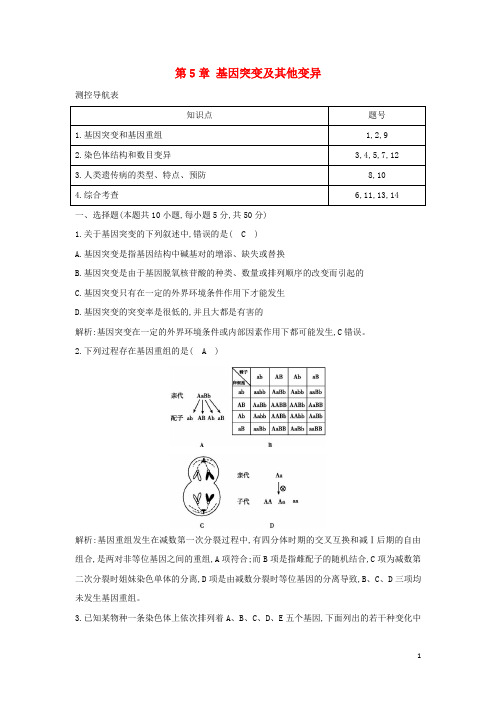 江苏省启东市高中生物第5章基因突变及其他变异检测试题新人教版必修2
