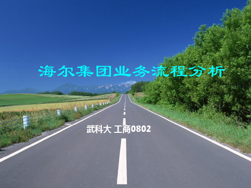 海尔 业务流程再造ppt课件