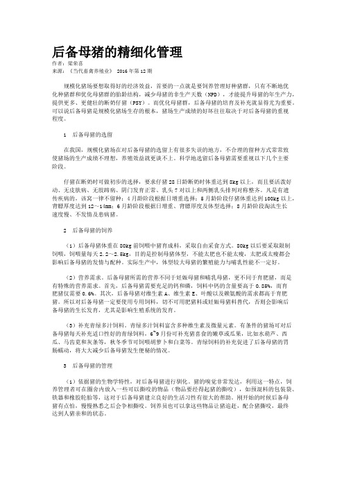 后备母猪的精细化管理