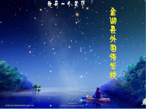 土壤里的小动物