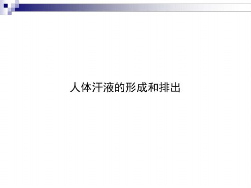 42汗液的形成和排出课件济南版七年级下