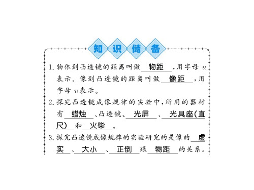 秋人教版八年级物理上册习题课件：第五章第三节 (共17张PPT)