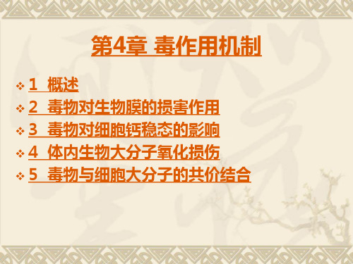 04第4章 毒作用机制