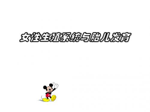女性生殖系统与胎儿发育