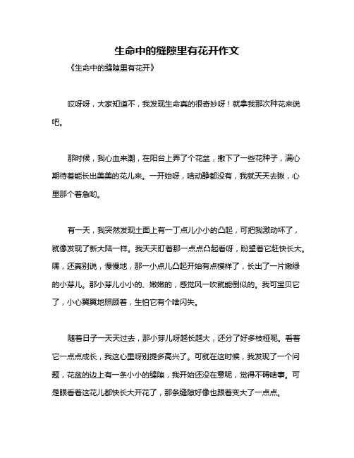 生命中的缝隙里有花开作文