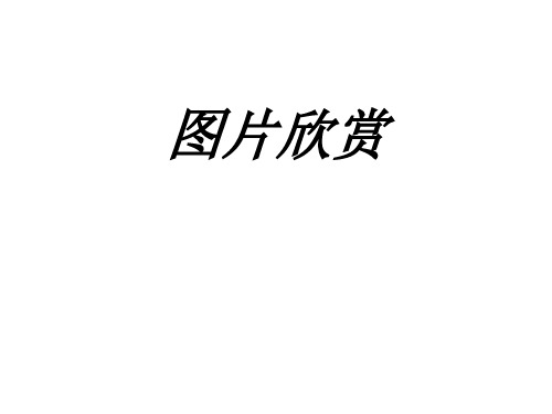 三年级上语文课件-北大荒的秋天1_苏教版