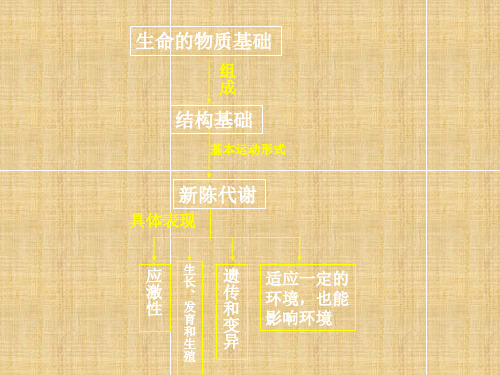 生命的物质基础湖南省湘钢一中高三生物第一轮复习名师精编课件 人教版