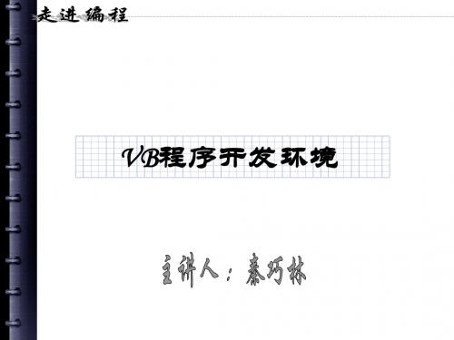 VB程序开发环境课件