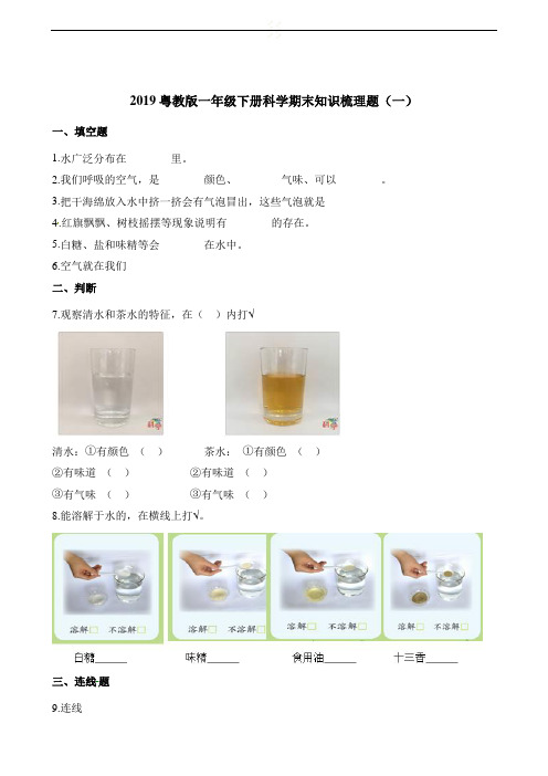 2019粤教版一年级下册科学期末知识梳理题汇总